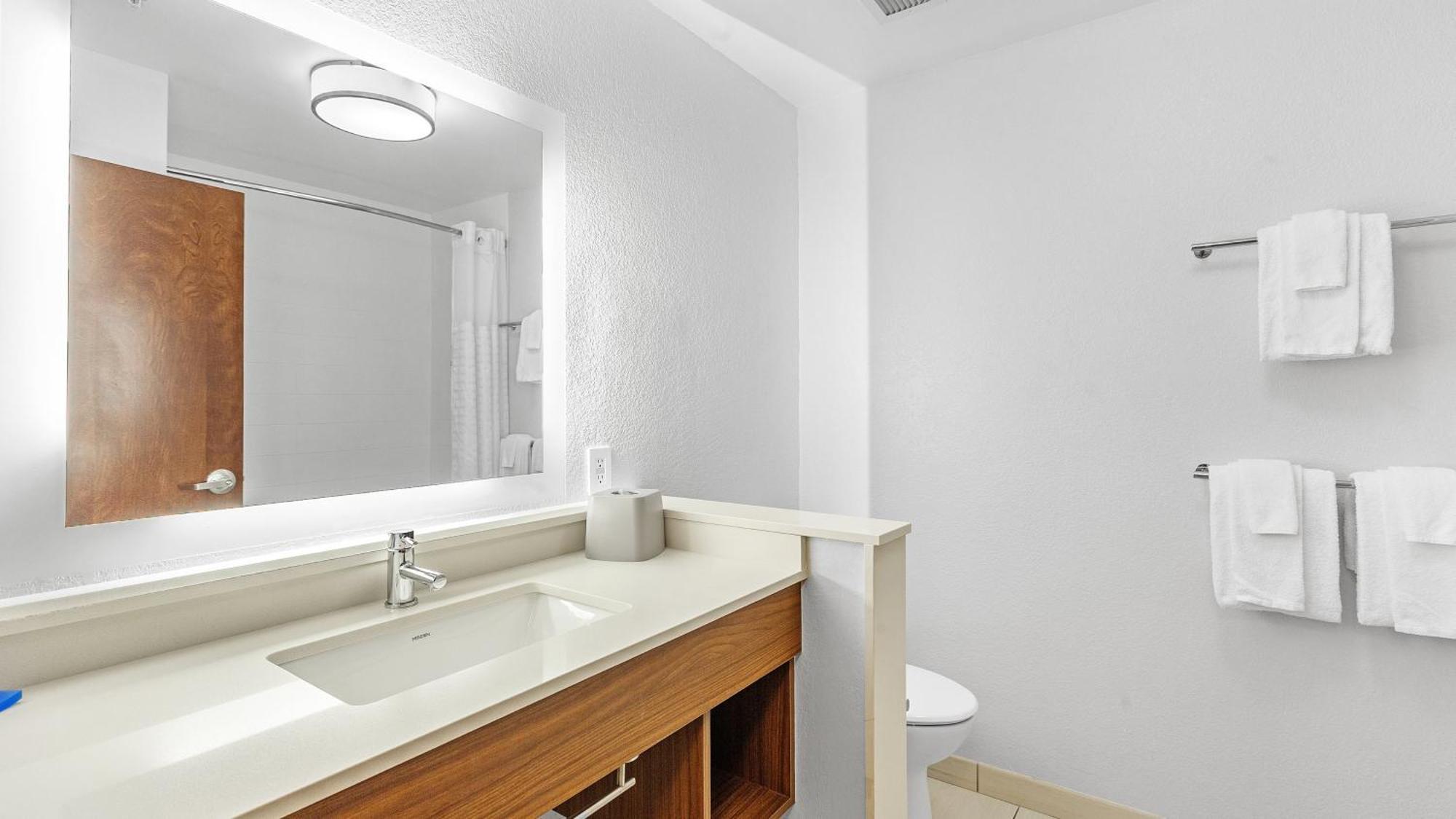 Holiday Inn Express & Suites Mobile - University Area By Ihg מראה חיצוני תמונה